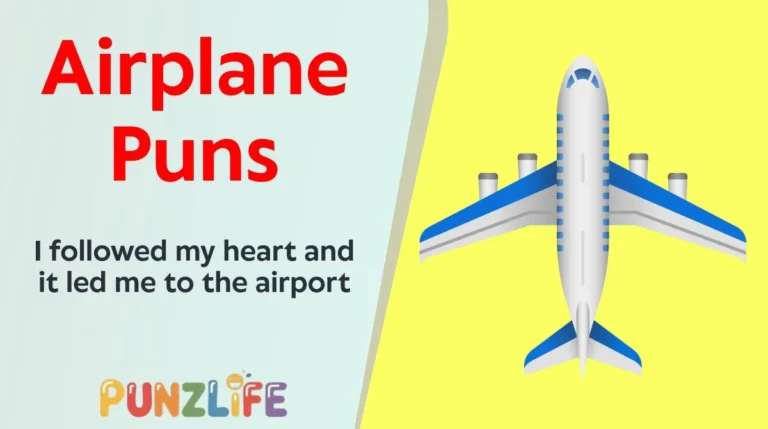 Airplane Puns