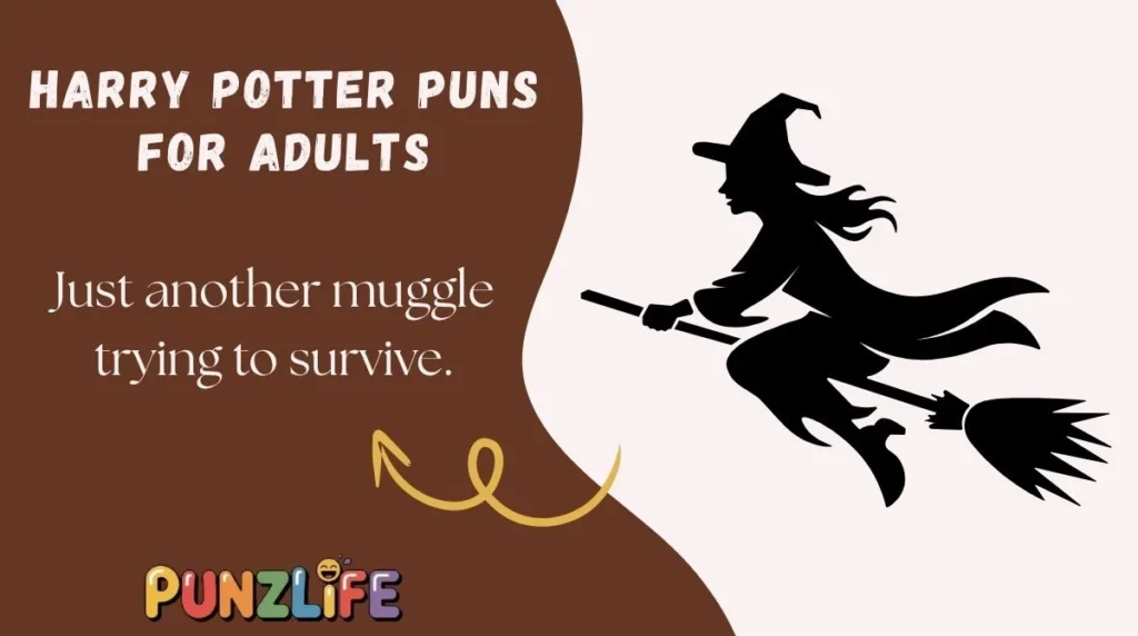Harry Potter Puns for Adults