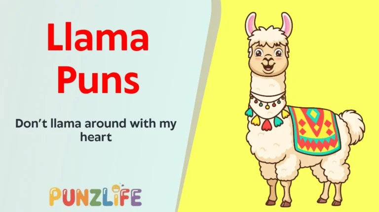 Llama Puns