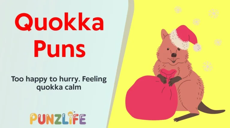 Quokka Puns