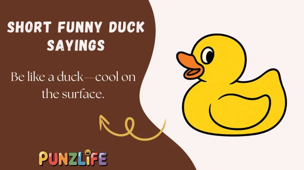 Short Funny Duck Sayings