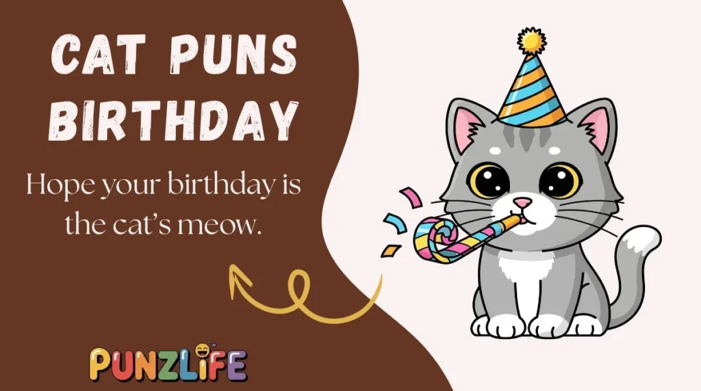 Cat Puns Birthday