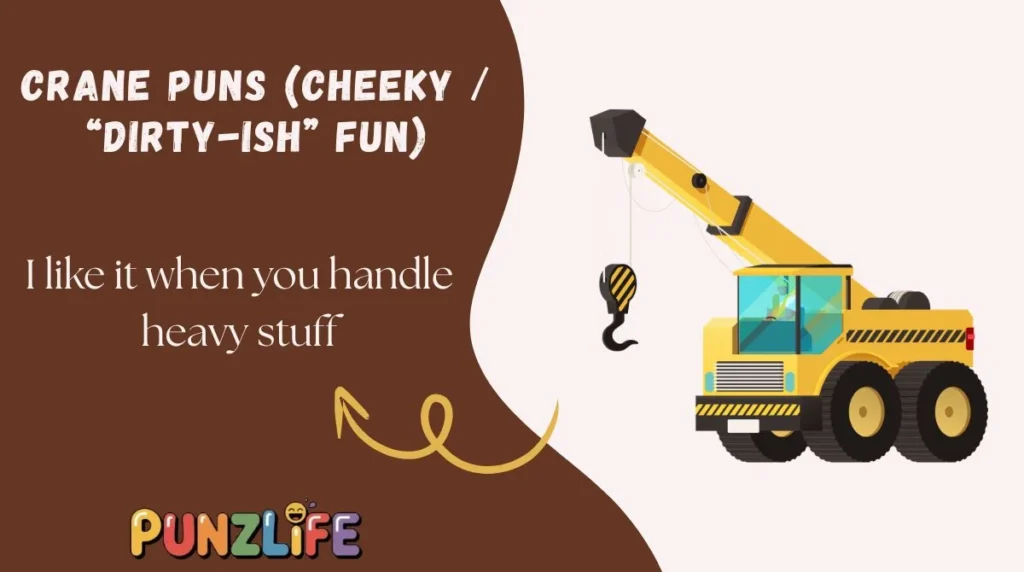 Crane Puns (Cheeky / âDirty-ishâ Fun)