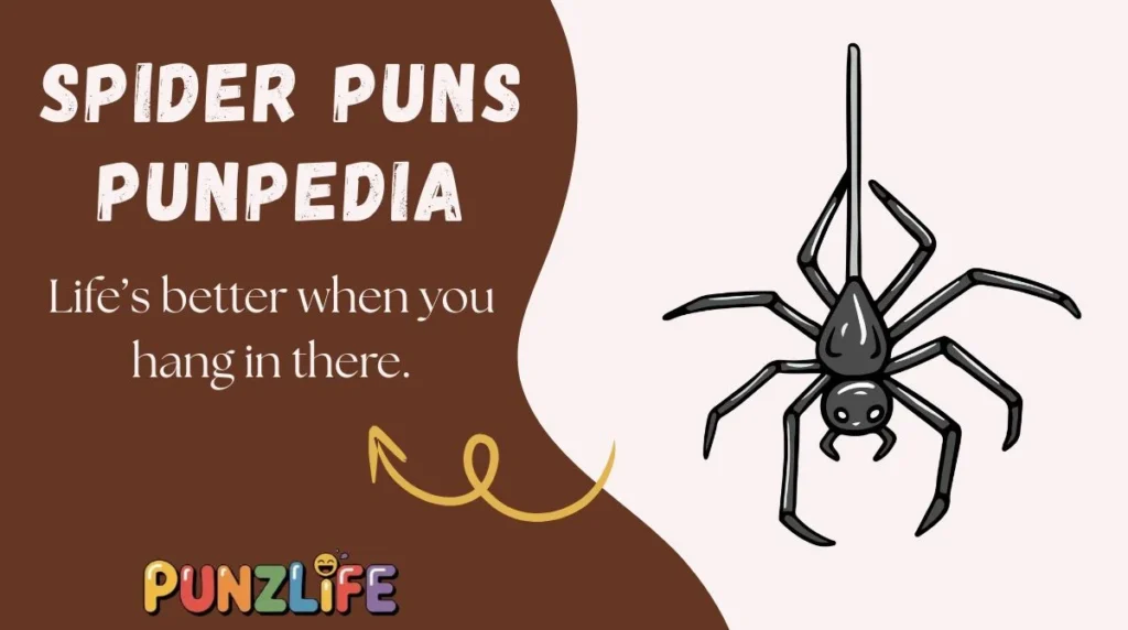 Spider Puns Punpedia