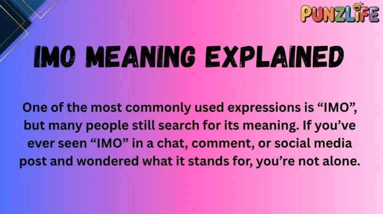 IMO Meaning Explained