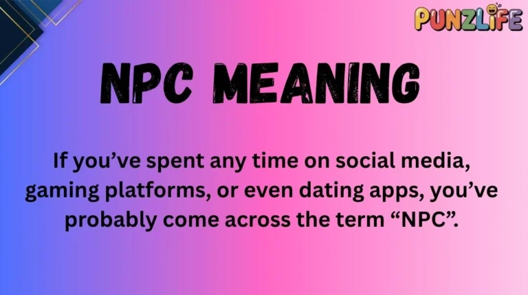 NPC Meaning
