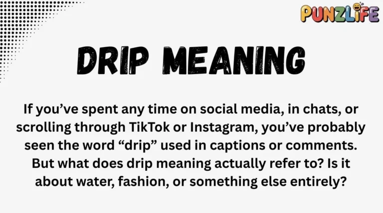 Drip Meaning