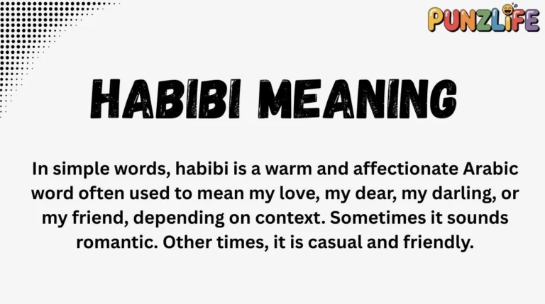 Habibi Meaning