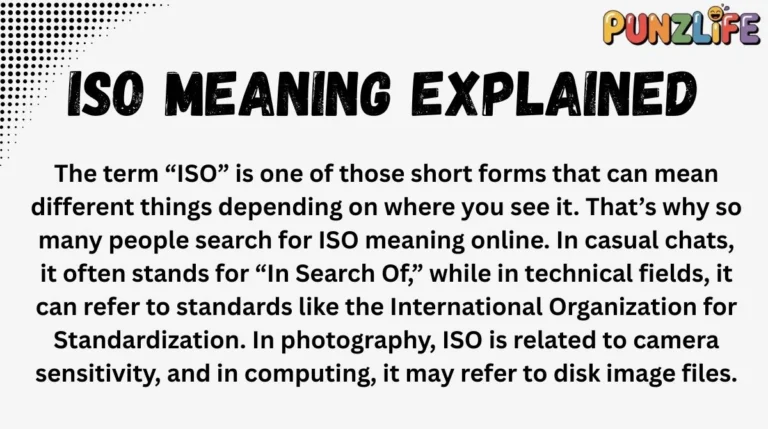 ISO Meaning Explained