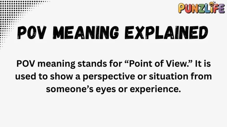 POV Meaning Explained