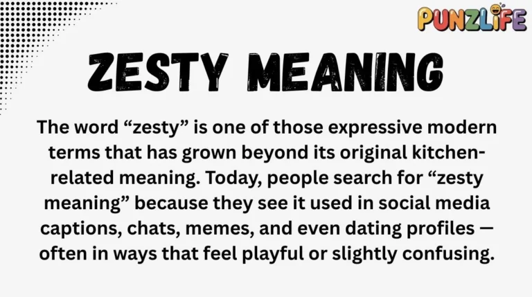 Zesty Meaning